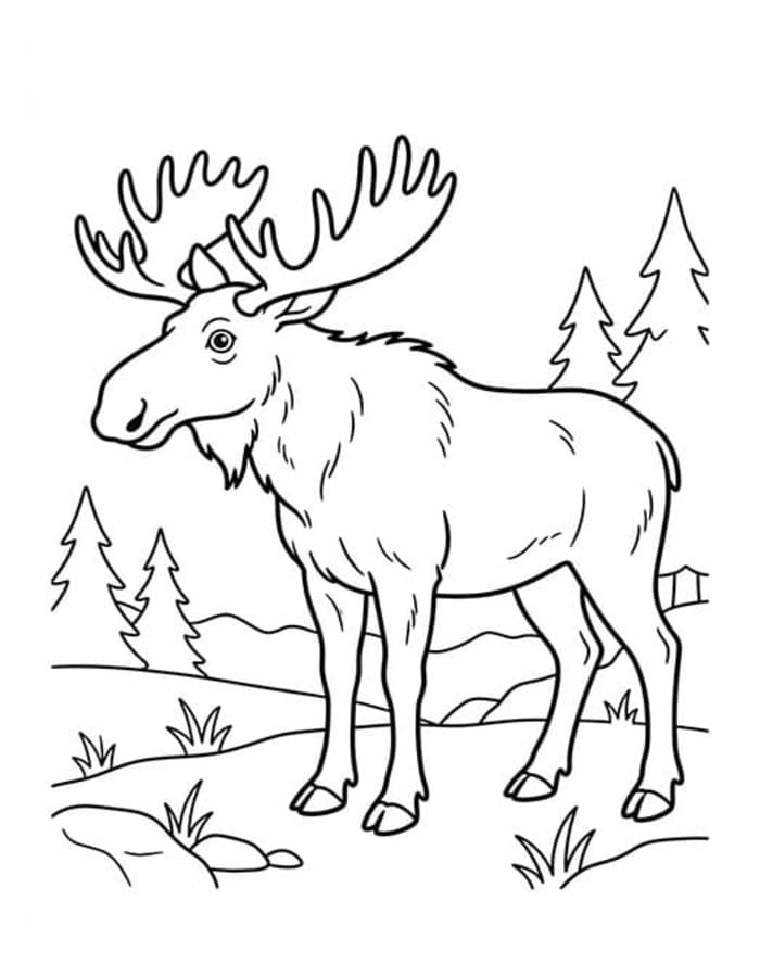 Drawing Deer Free Printable