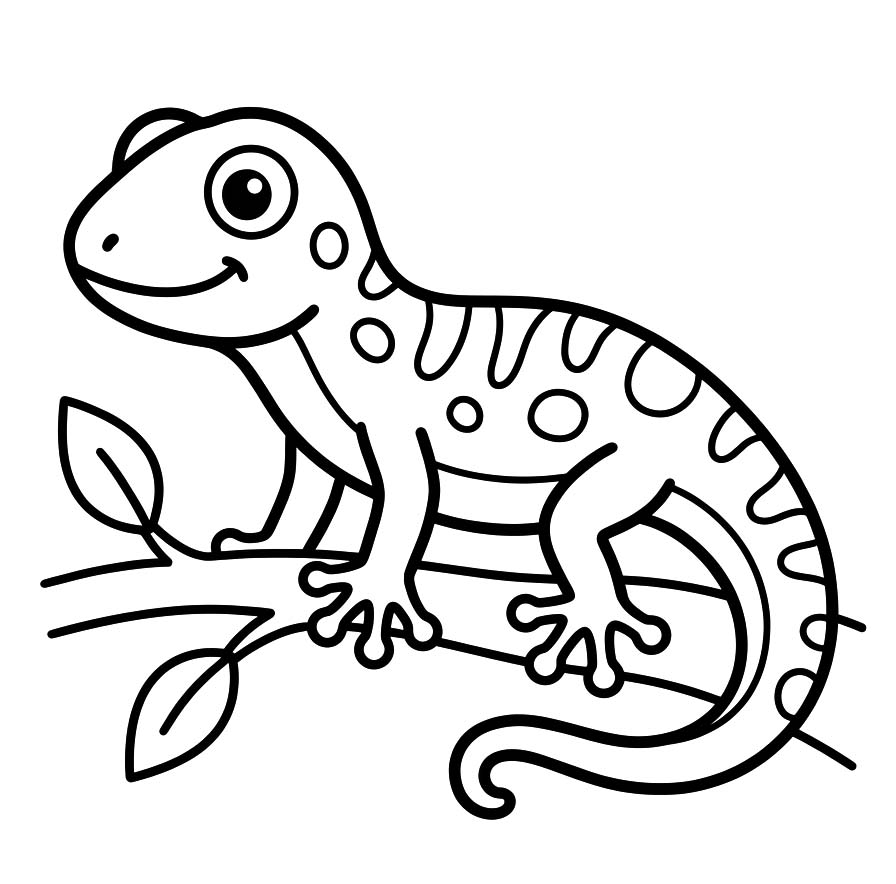 Drawing Gecko Basic