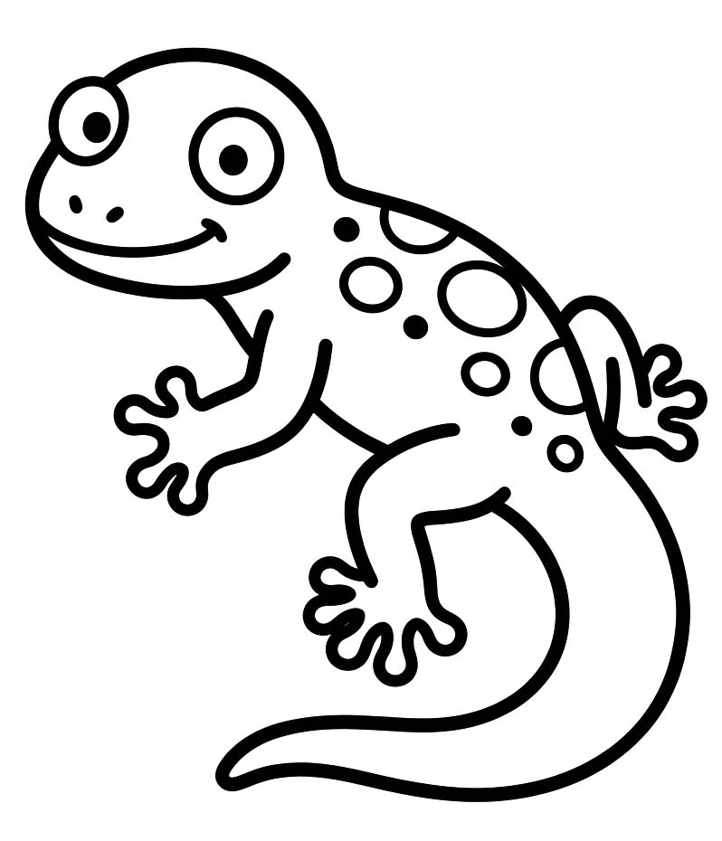 Drawing Gecko Free Printable