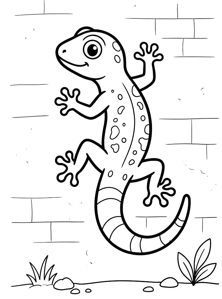 Drawing Gecko