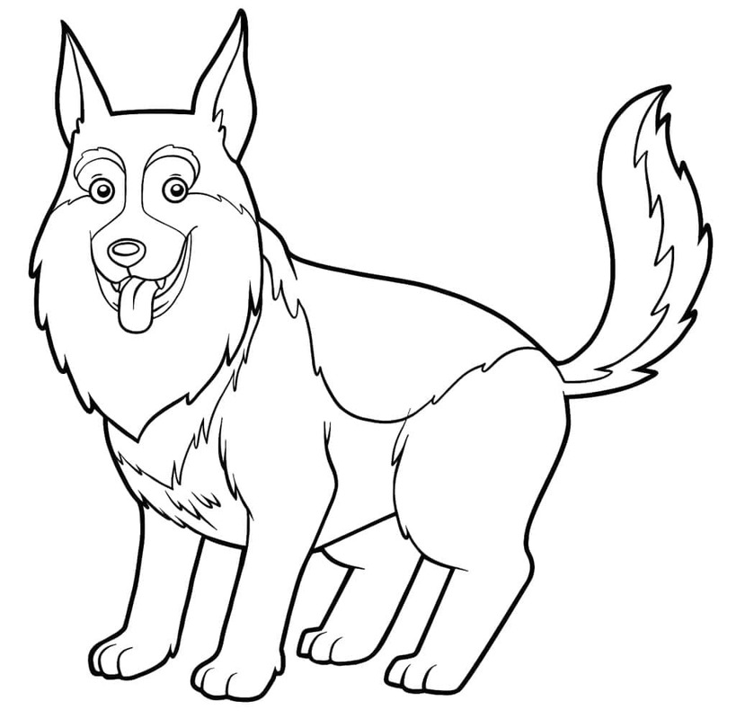 Drawing German Shepherd Simple