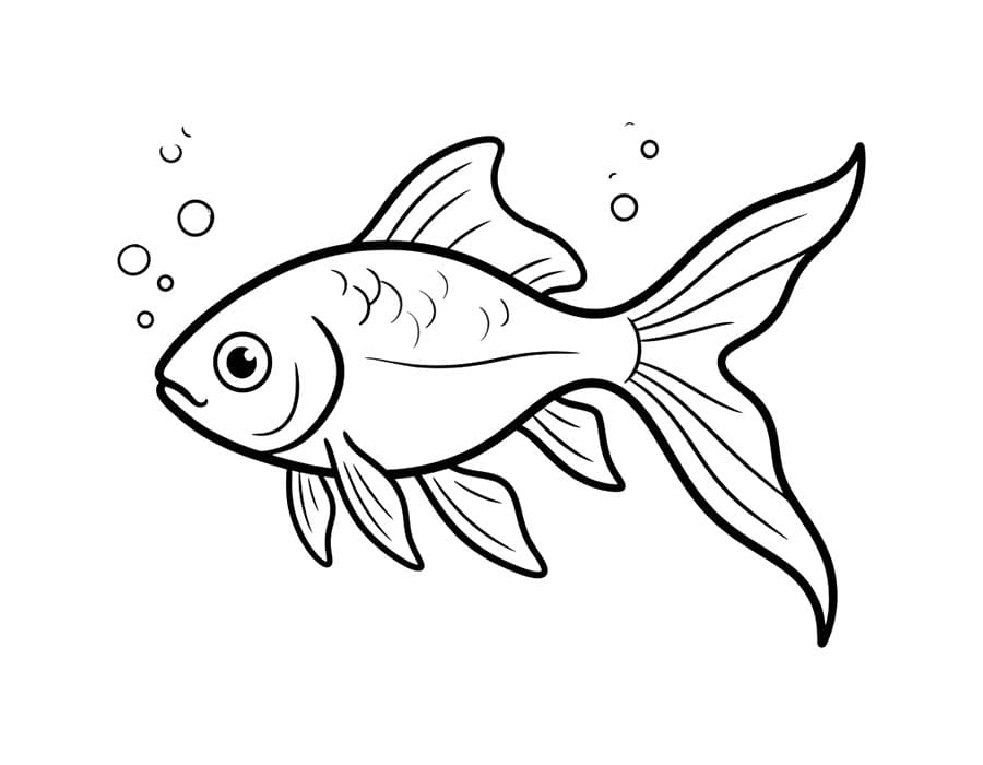 Drawing Goldfish Free