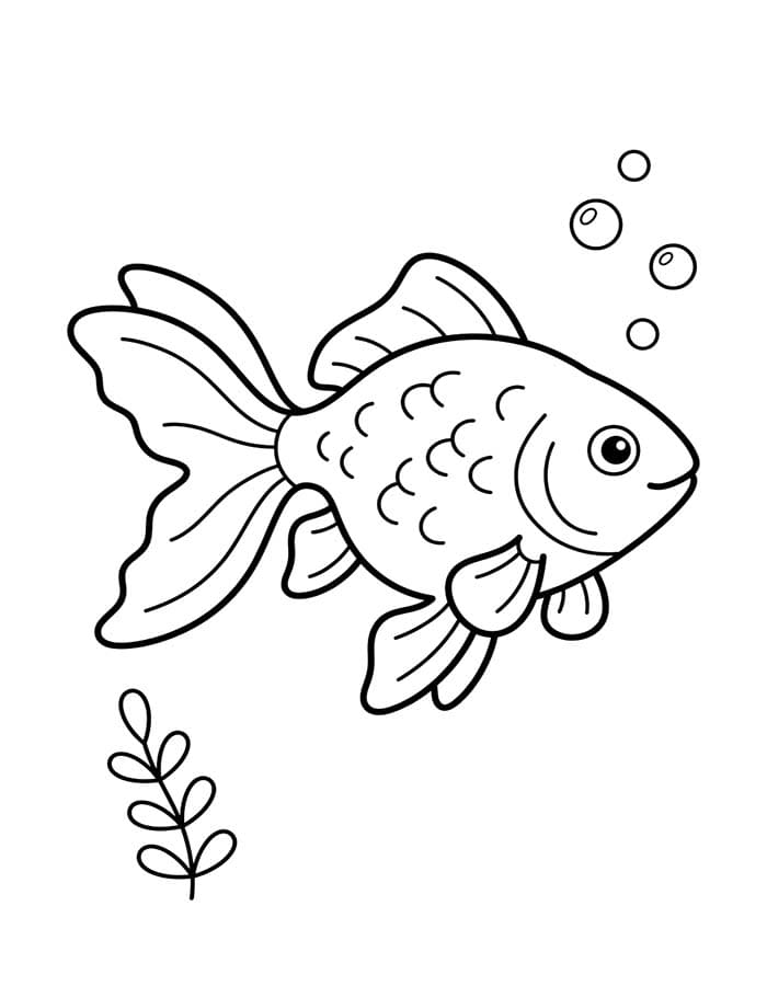 Drawing Goldfish Printable