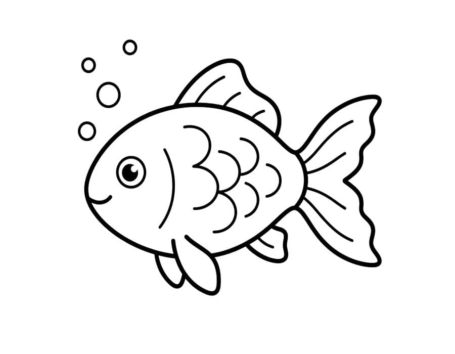 Drawing Goldfish