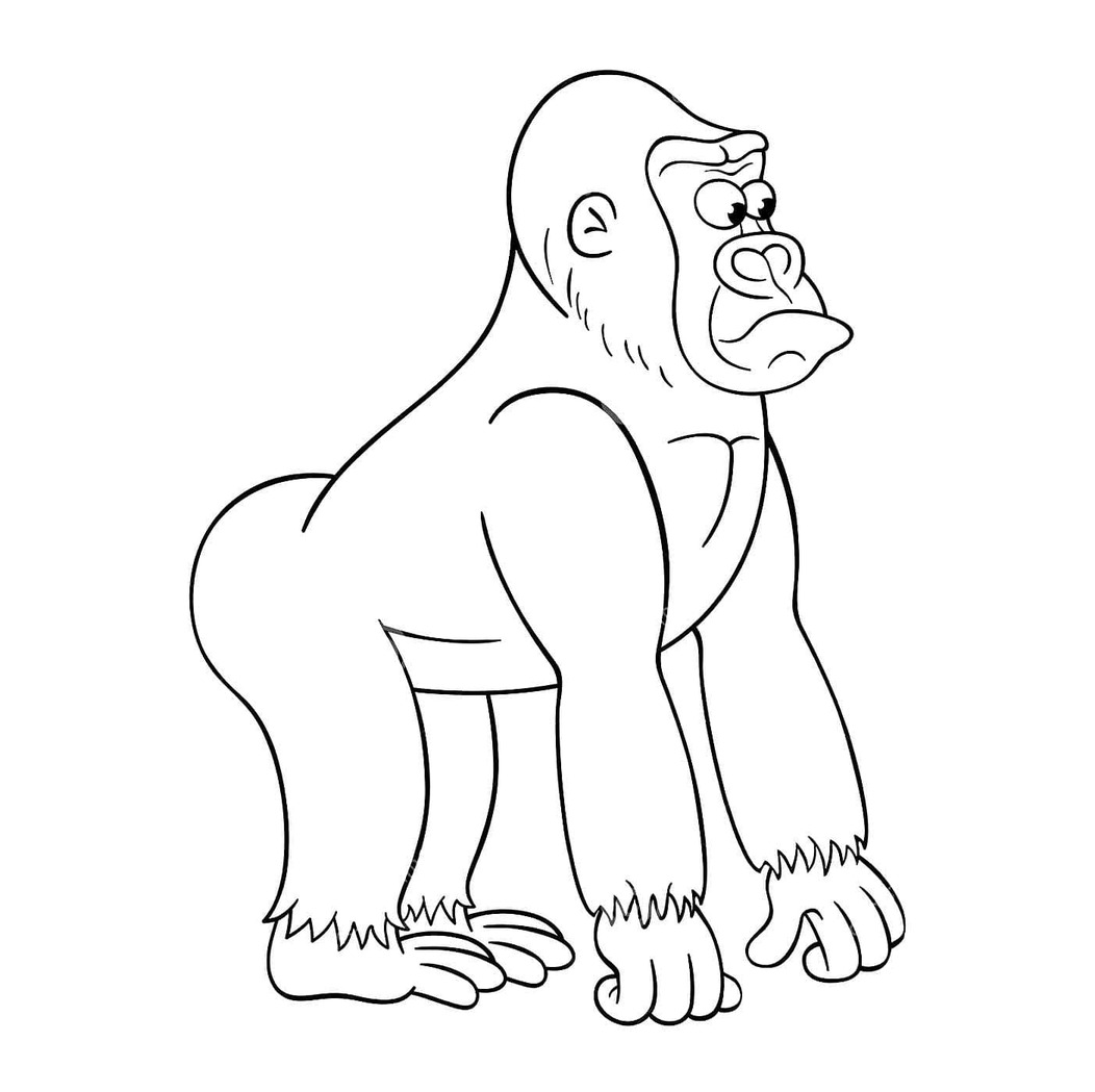 Drawing Gorilla Easy