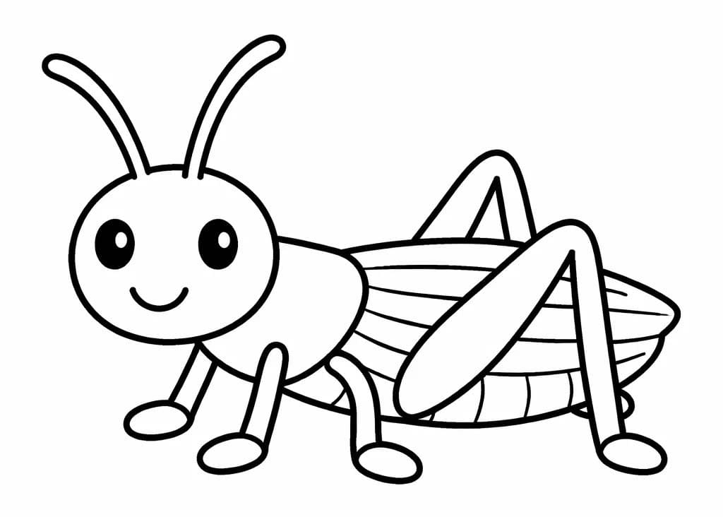 Drawing Grasshopper Basic