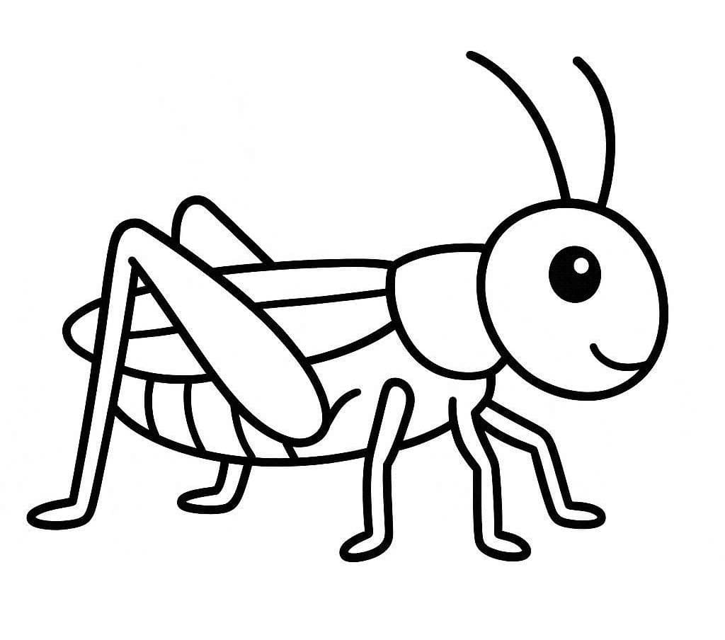 Drawing Grasshopper Printable