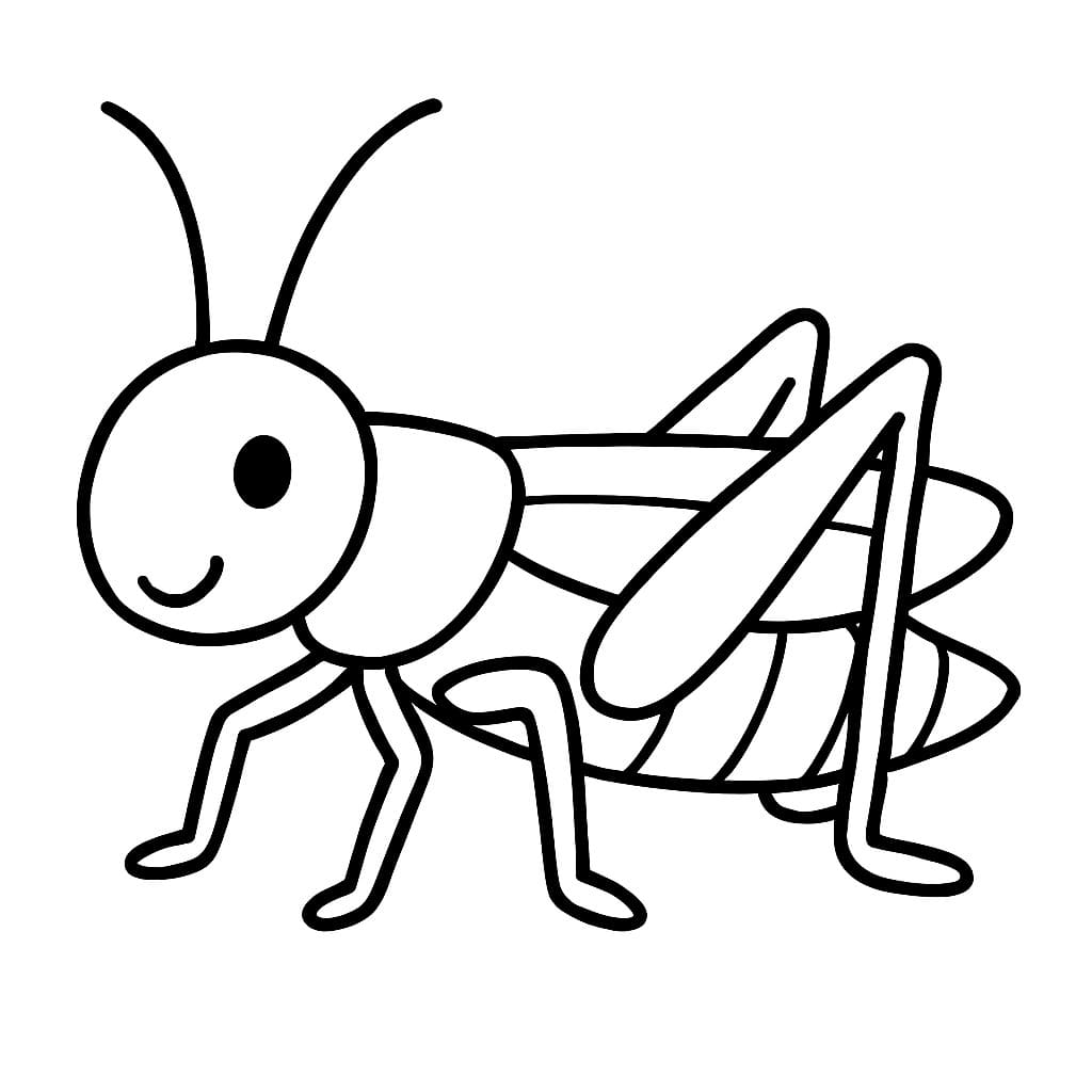 Drawing Grasshopper