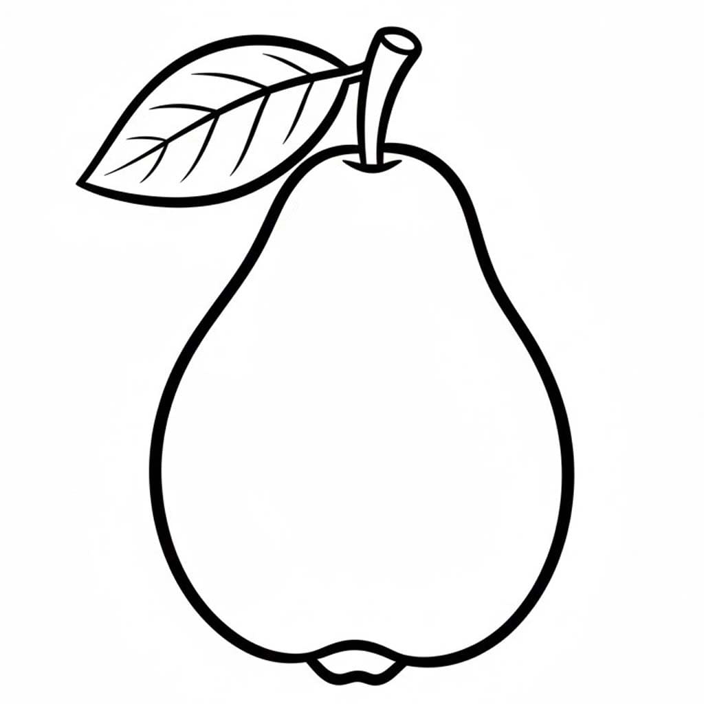 Drawing Guava Basic