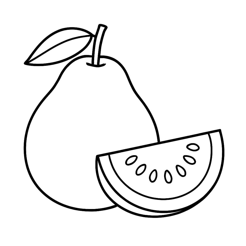 Drawing Guava Simple