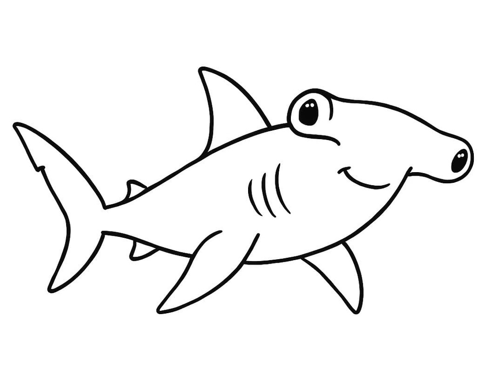 Drawing Hammerhead Shark Basic