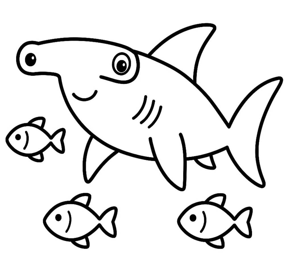 Drawing Hammerhead Shark