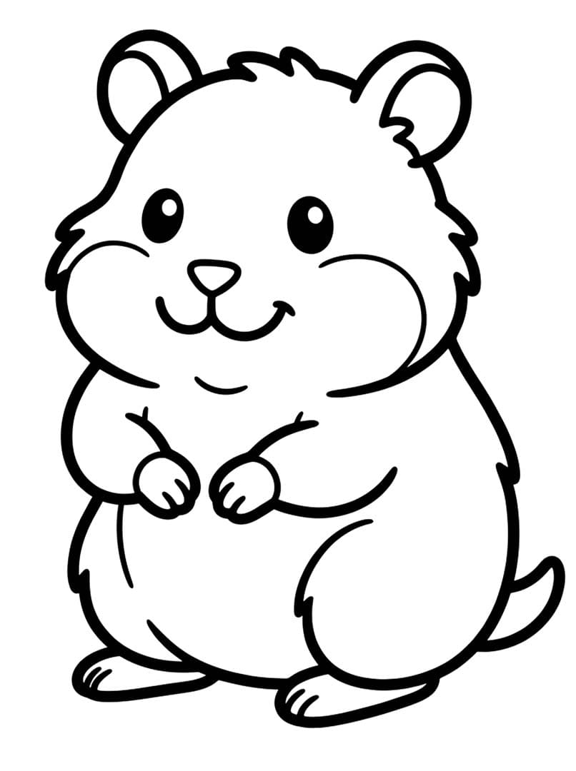 Drawing Hamster Basic