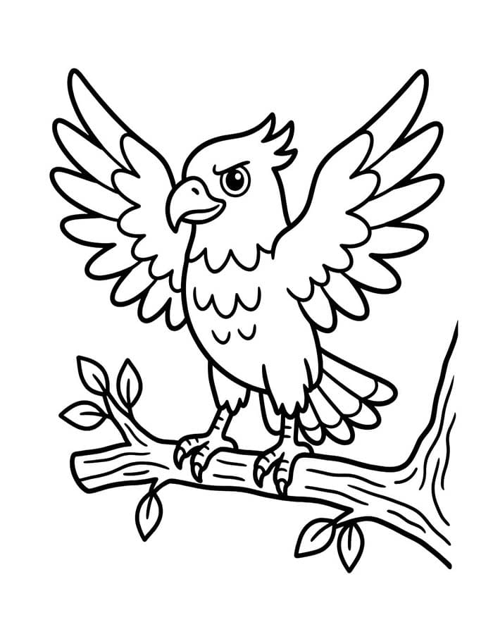 Drawing Hawk Free Printable