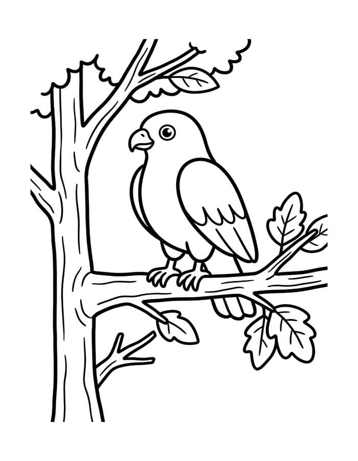 Drawing Hawk Free