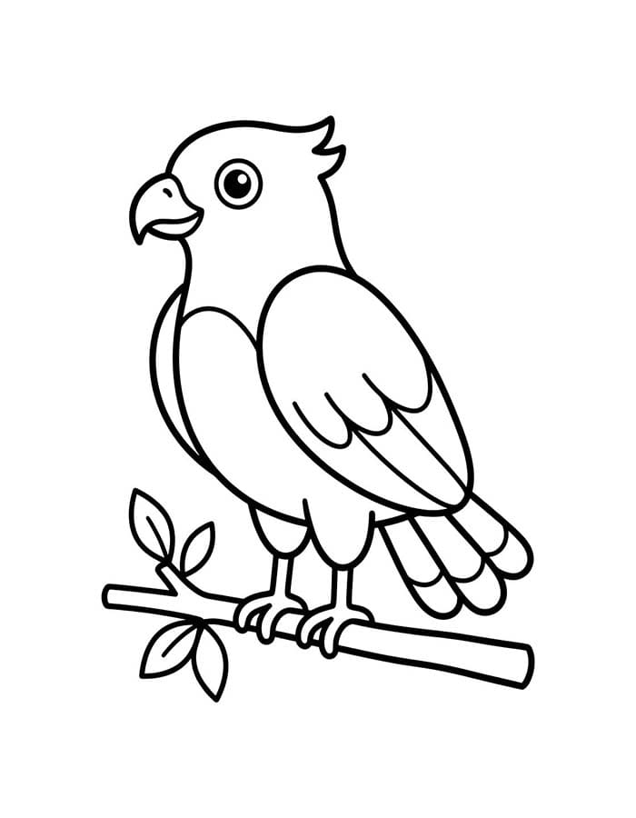 Drawing Hawk Printable