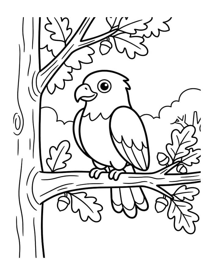 Drawing Hawk