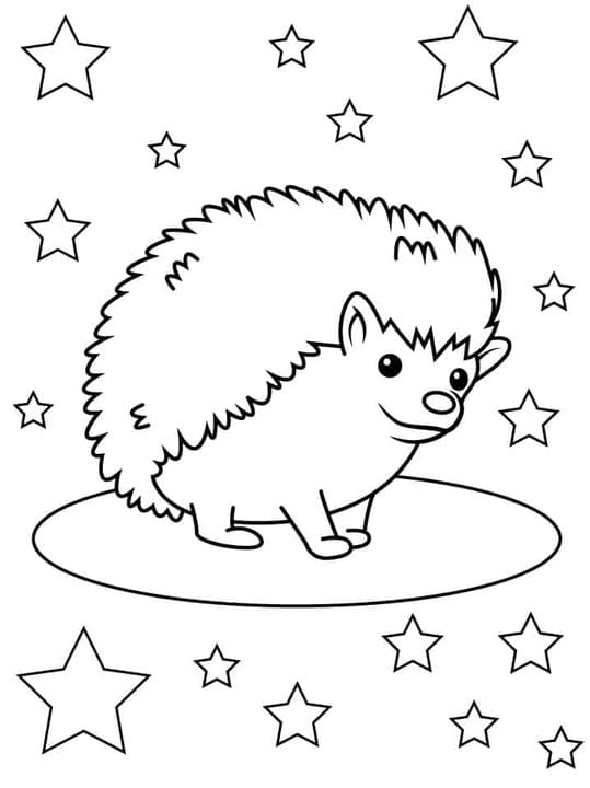 Drawing Hedgehog basic