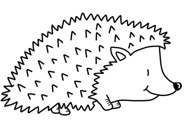Drawing Hedgehog free