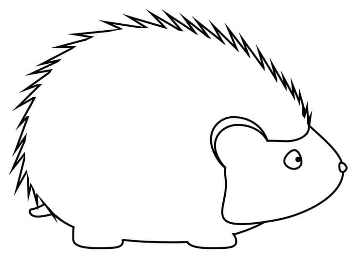 Drawing Hedgehog free printable