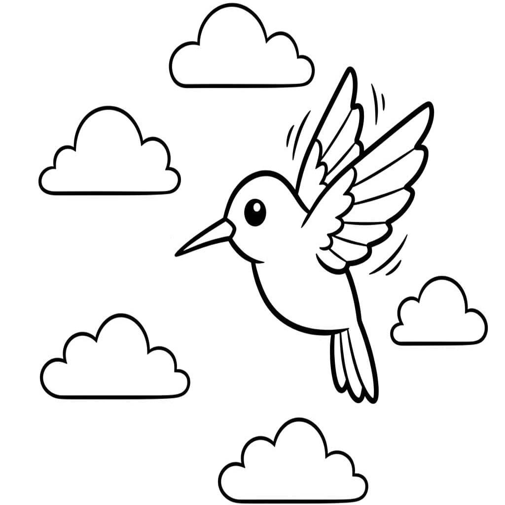 Drawing Hummingbird easy