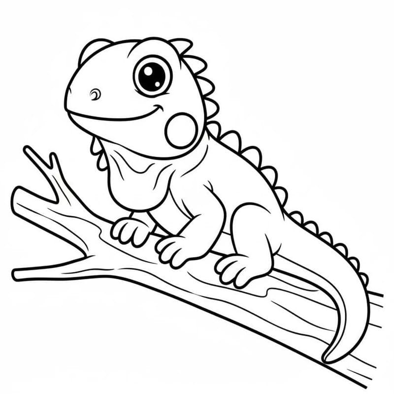 Drawing Iguana Free
