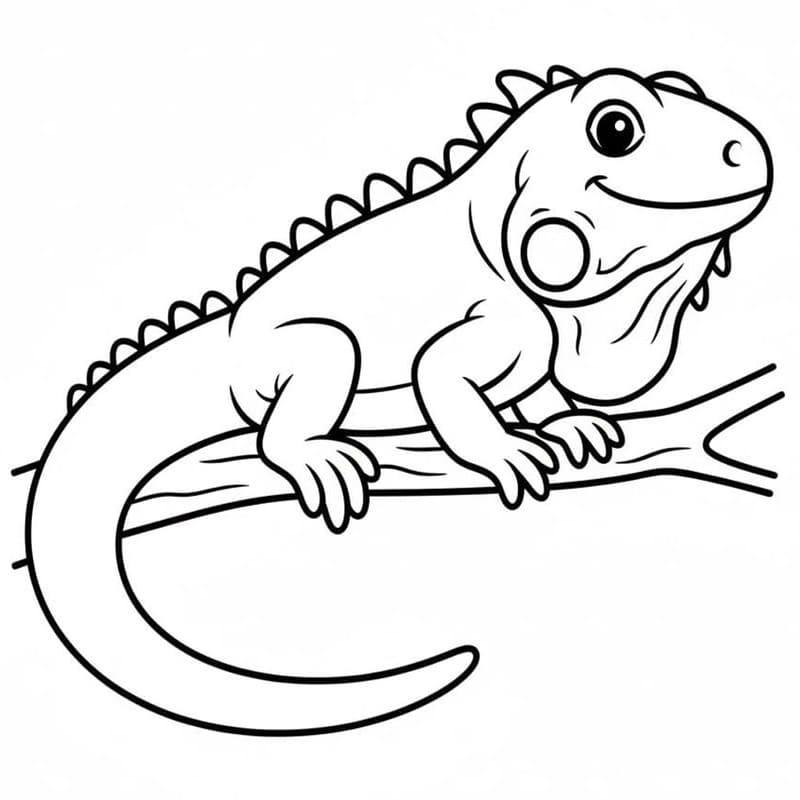 Drawing Iguana