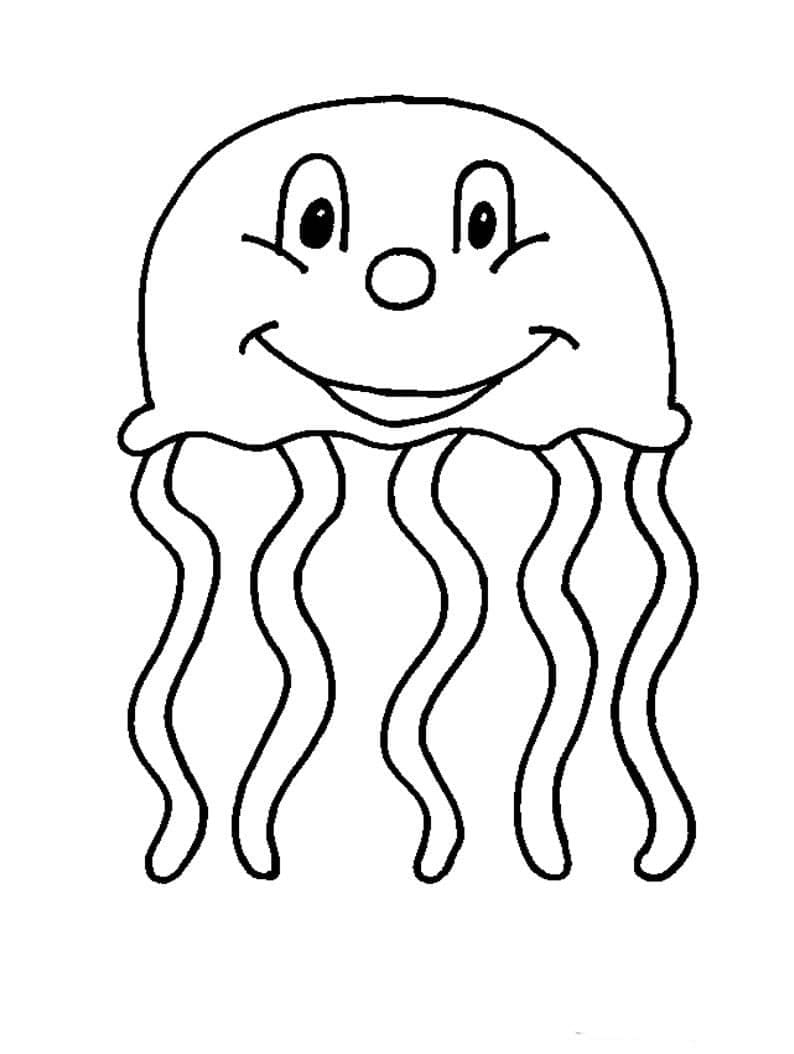 Drawing JellyFish Free Printable