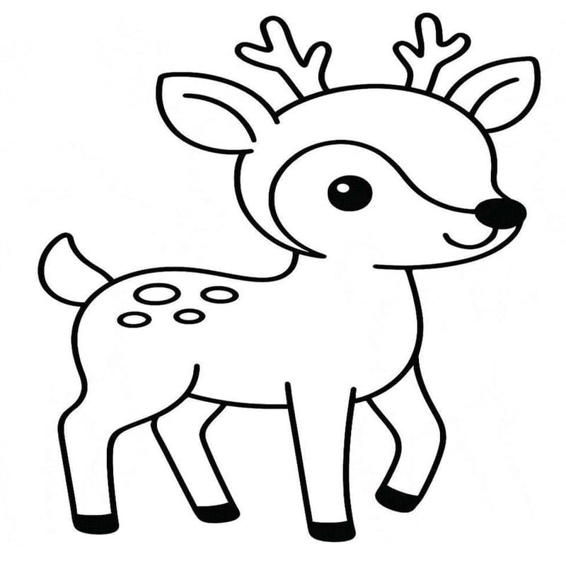 Drawing Kawaii Animal Deer