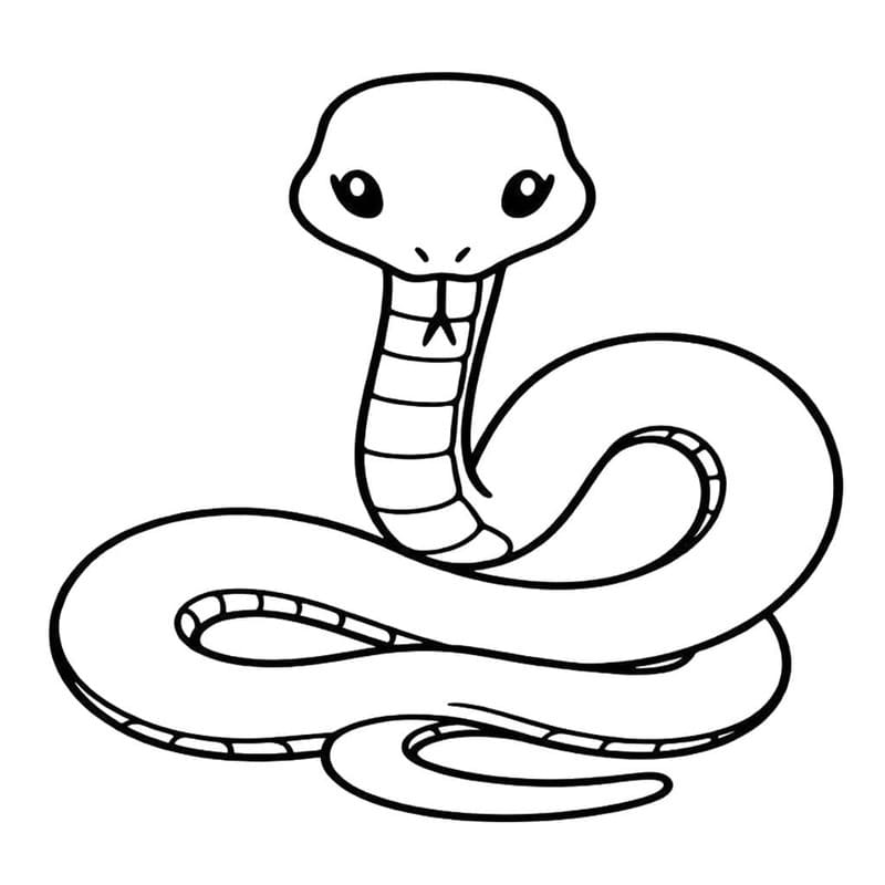 Drawing Kawaii Animal Snake