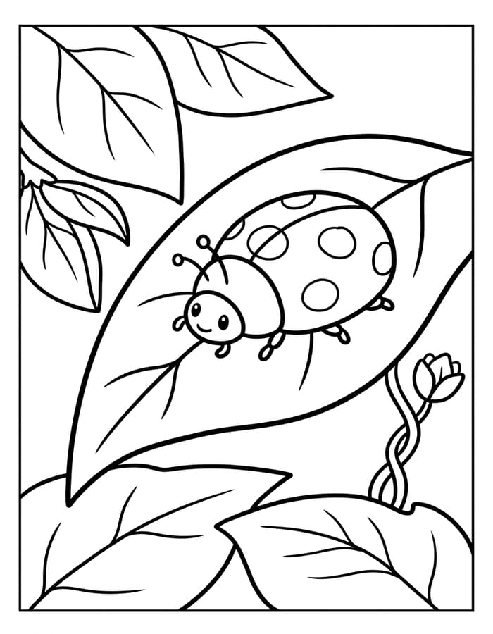 Drawing Ladybug Free Printable