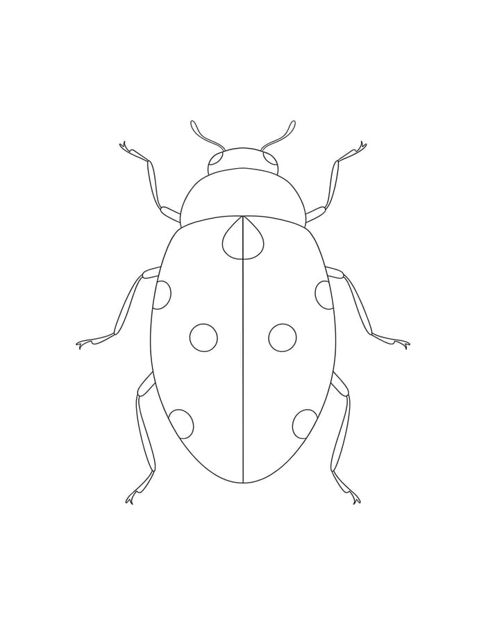 Drawing Ladybug Simple