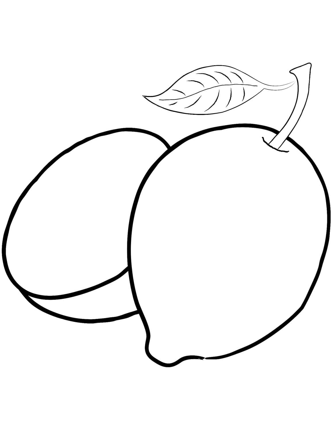 Drawing Lemon Basic