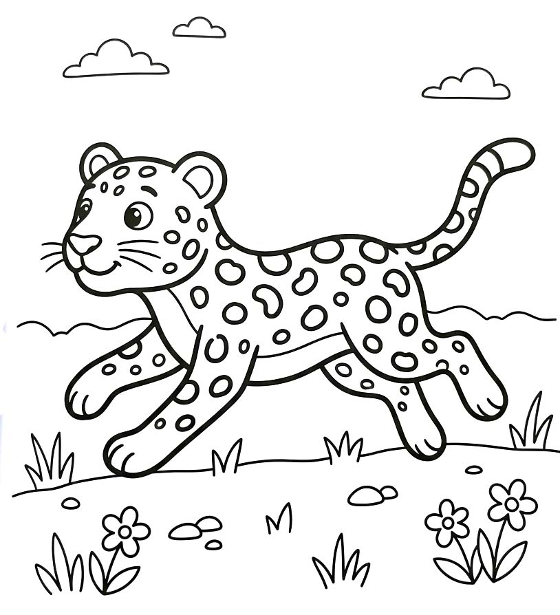 Drawing Leopard Basic