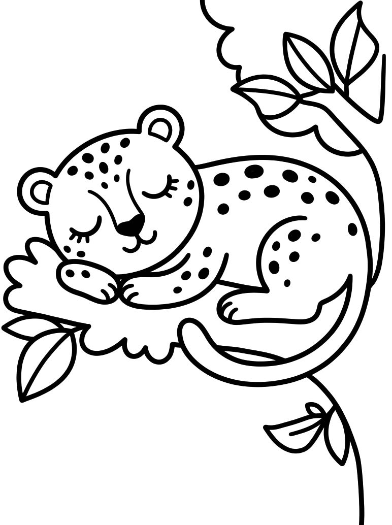Drawing Leopard Free