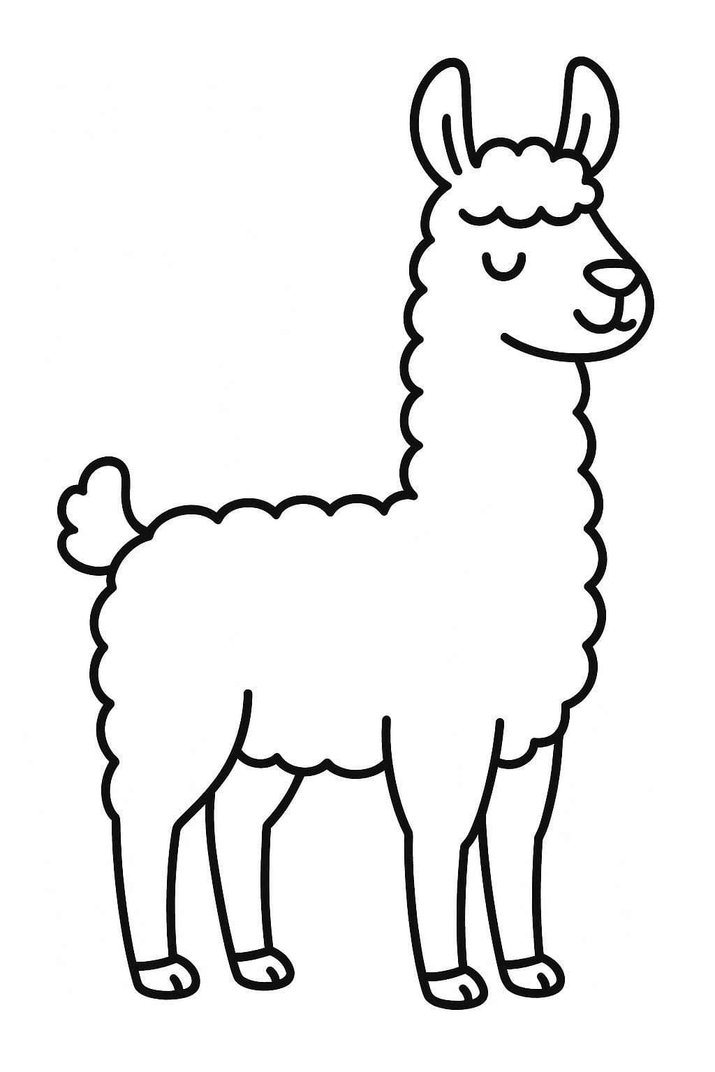 Drawing Llama Easy