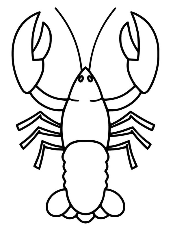 Drawing Lobster Free