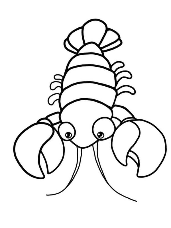 Drawing Lobster Printable
