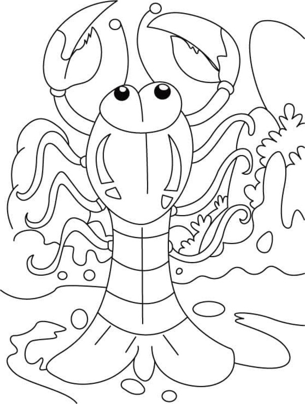 Drawing Lobster