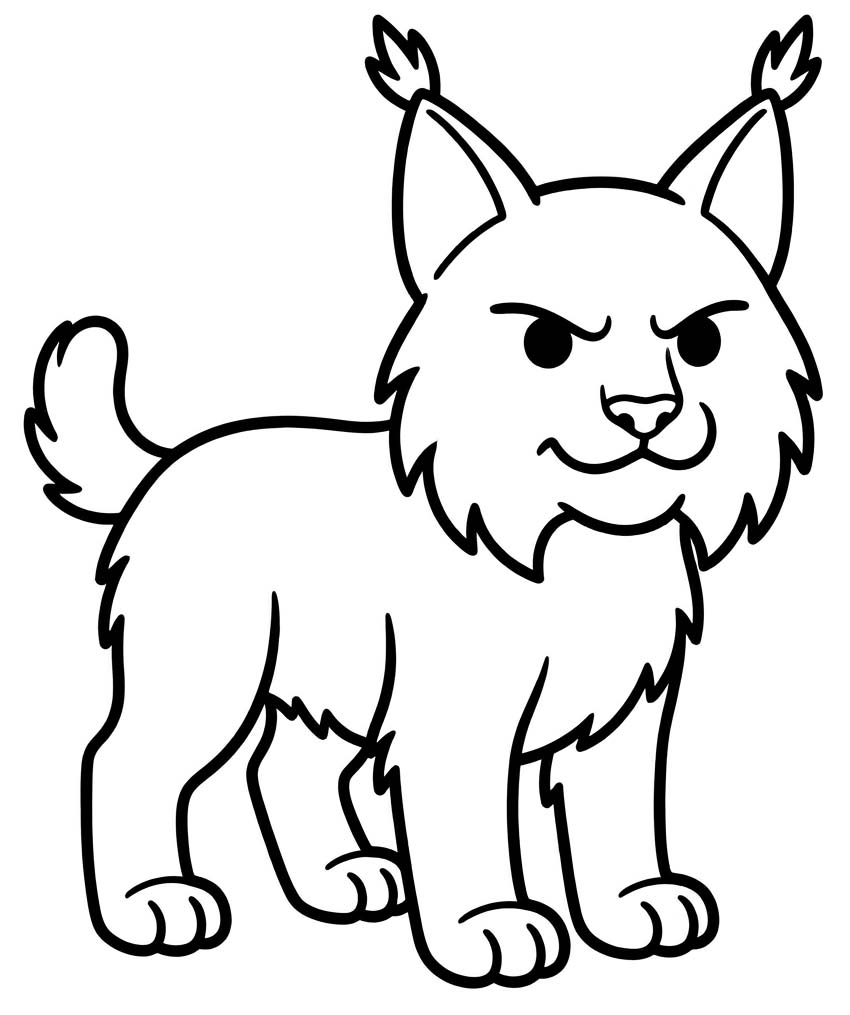 Drawing Lynx Basic