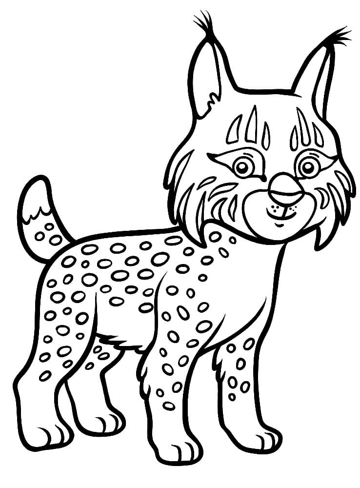 Drawing Lynx Free