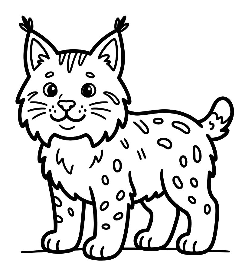 Drawing Lynx Printable