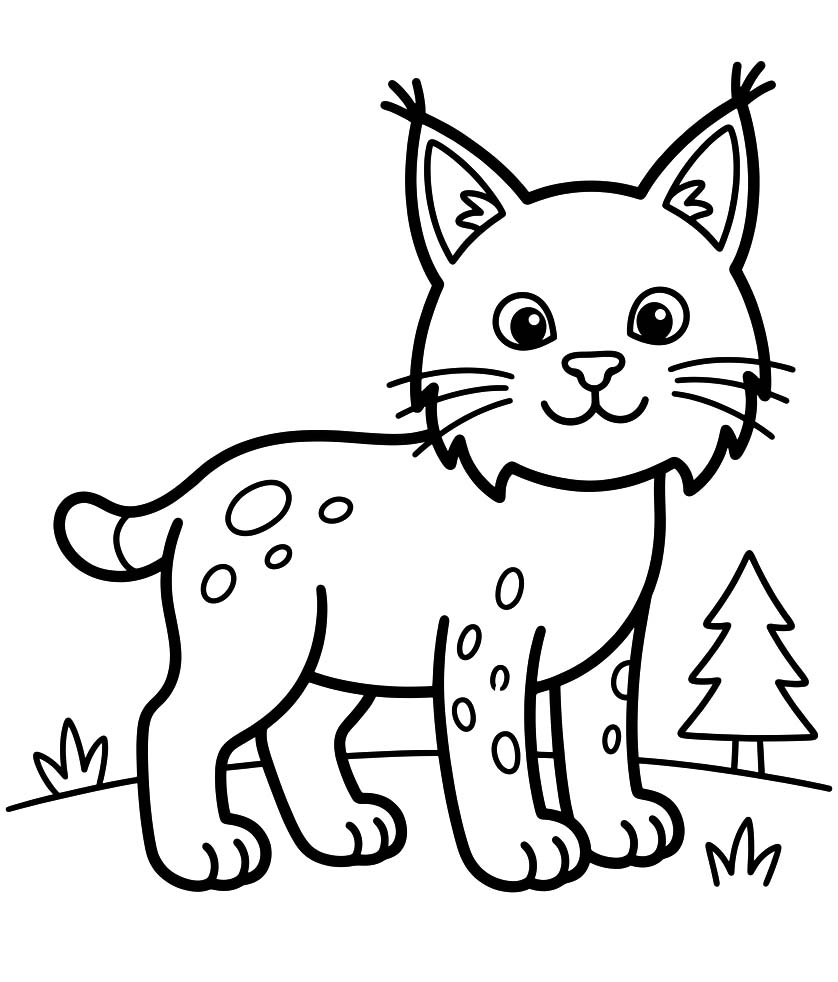 Drawing Lynx Simple
