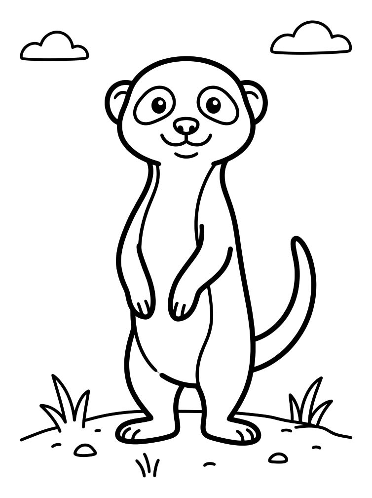 Drawing Meerkat