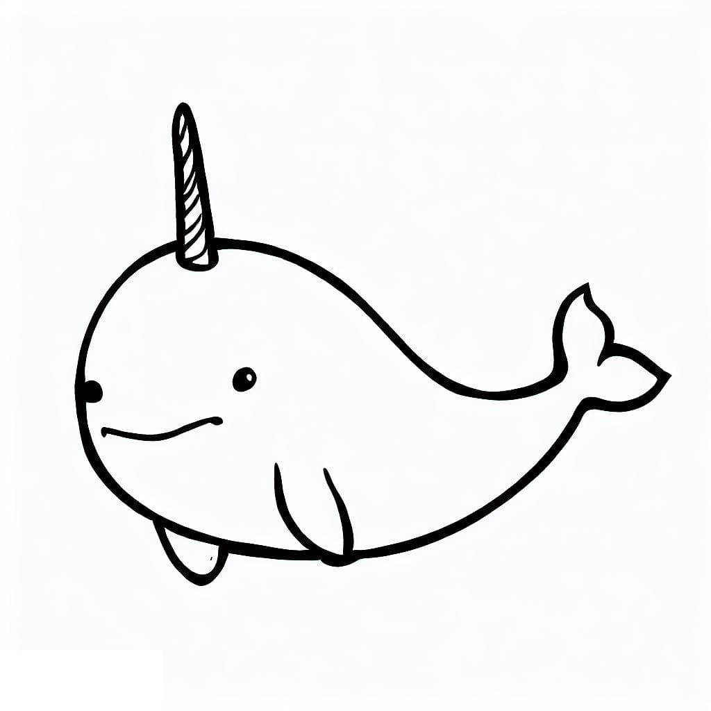 Drawing Narwhal Free Printable