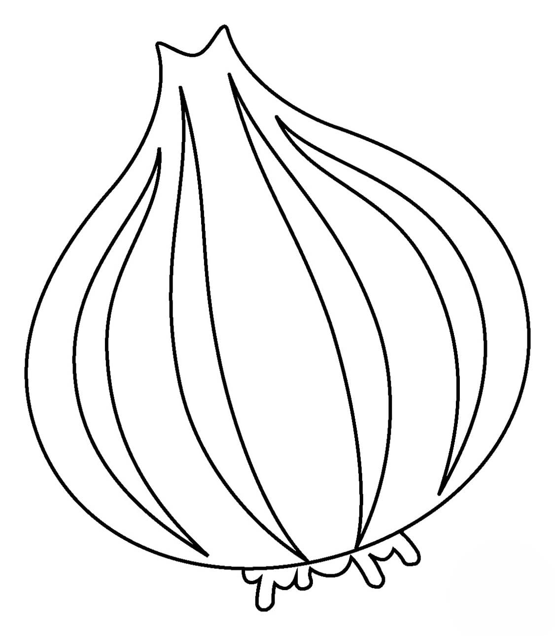 Drawing Onion basic