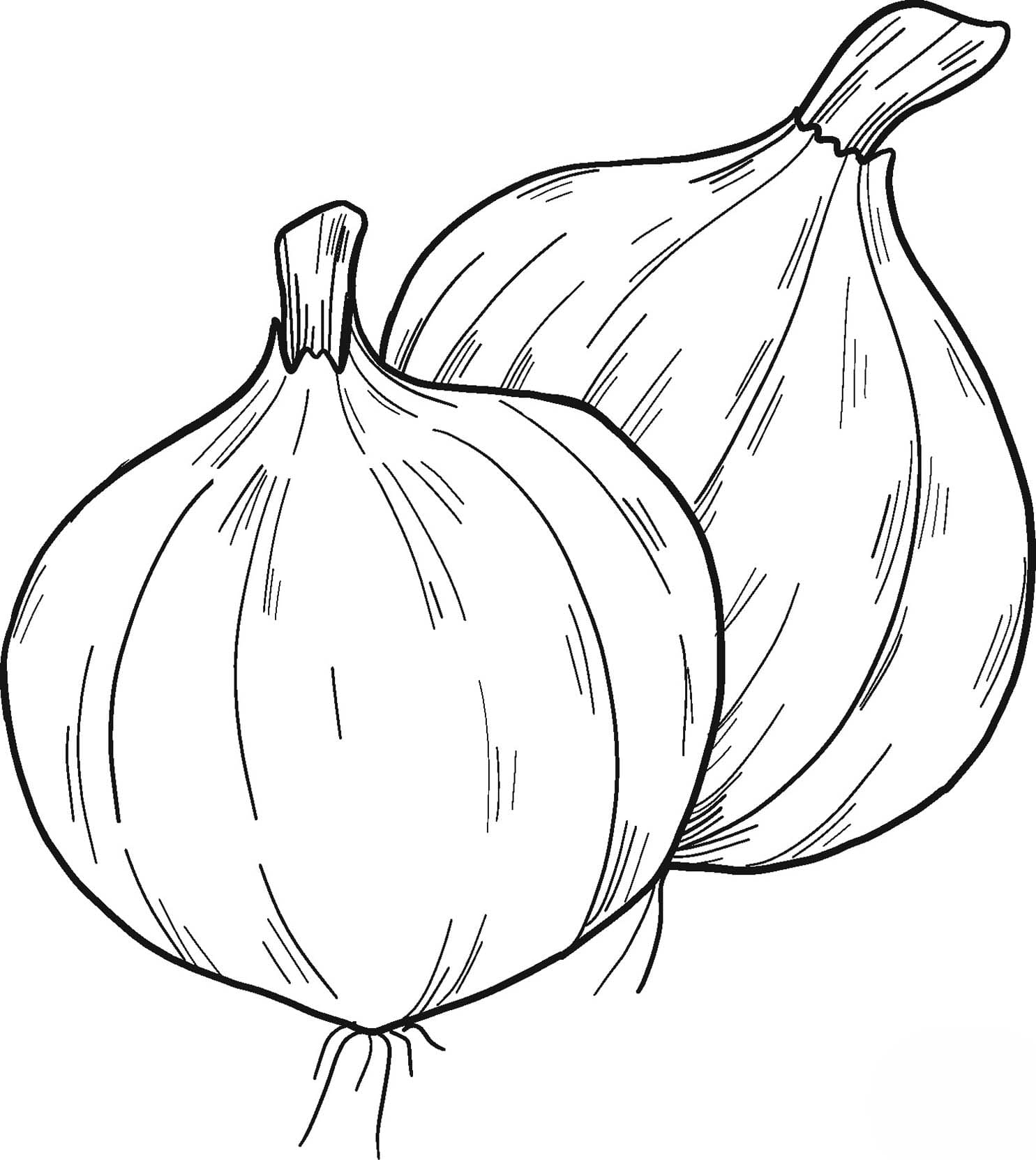 Drawing Onion easy