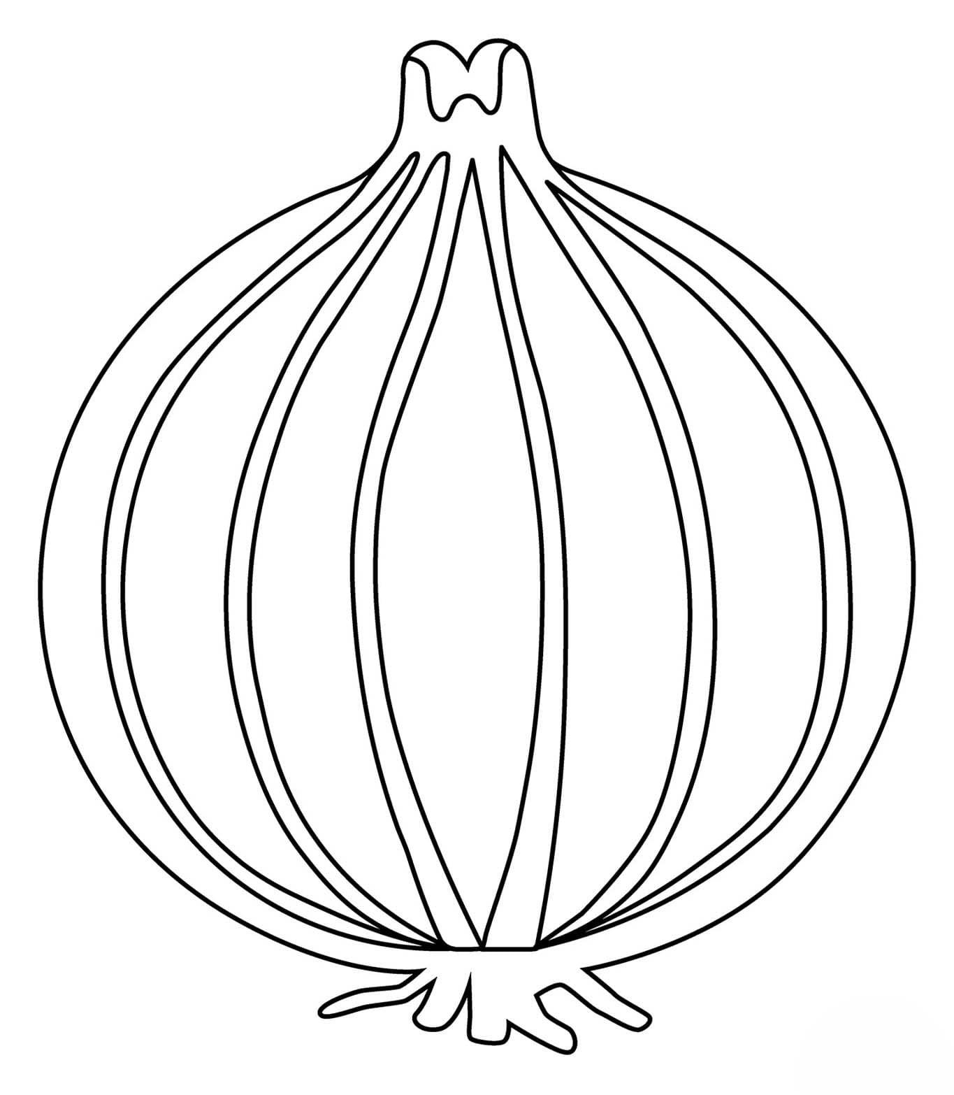 Drawing Onion simple