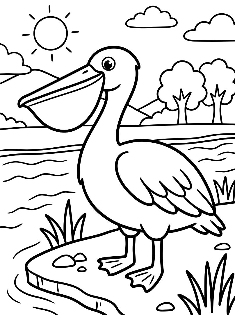 Drawing Pelican Basic