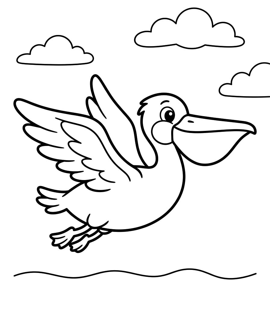 Drawing Pelican Easy